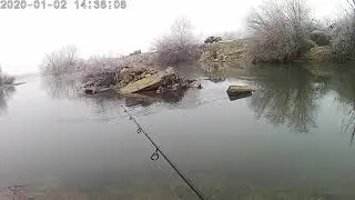 Catching chub in the winter