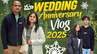 🤩 Much needed fun ...చాలా ఏళ్ల తర్వాత | USA Telugu Vlogs | Anniversary 2025 | American Food Shopping