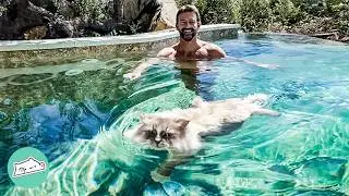 Man Didn't Want Cats, Grows Into A Cat Dad | Cuddle Buddies