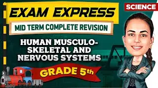 Human Musculo-Skeletal System || Midterm Revision For Class 5th || Exam Express