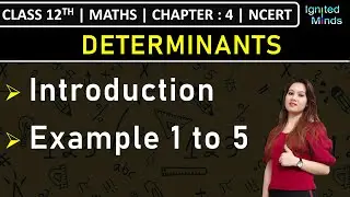 Class 12th Maths | Introduction to Determinants | Example 1 to 5 | Chapter 4 | NCERT
