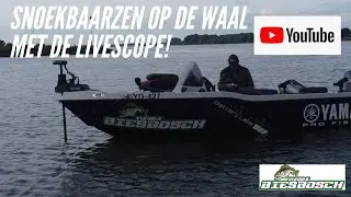 Snoekbaarzen op de Waal met de LiveScope