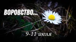 Воровство...