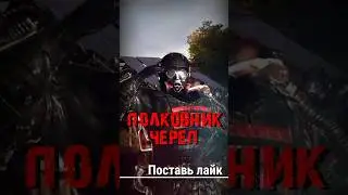 S.T.A.L.K.E.R - Полковник Череп. Рассказчик Сидорович