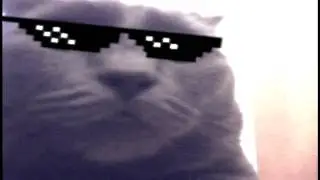 (other) Dududu song