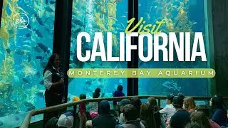 Meet Mariana Del Valle Prieto Cervantes: Bilingual Program Specialist at Monterey Bay Aquarium