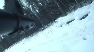 Охота на лося (Смоленск)