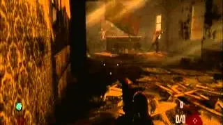 New Black Ops 2 Zombie Town Solo Glitch