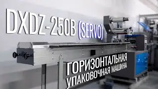 DXDZ-250B (Servo) Обзор горизонтального упаковщика!
