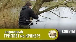 😎 КАРПФИШИНГ в Апреле. НОВЫЙ способ ЛОВЛИ КАРПА весной на КРЯКЕР от FOX! СОВЕТЫ