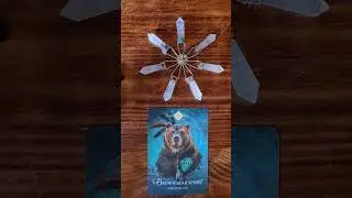 Message of the day #tarot #fortunecards #fortune #fortunetellingcards #tarotreader