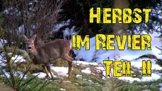 Herbst im Revier - Teil 2