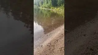 Ягодный лес, озеро - обожаю дачу 