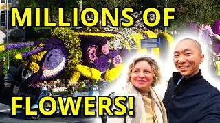 The Famous Netherlands Flower Parade!