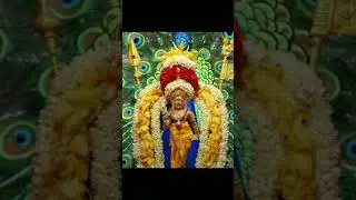 திருச்செந்தூர் முருகன் கோவில் மகிமைகள் 🐓அற்புதங்கள்🙏உண்மை கதை #trending #shorts #short #video #viral