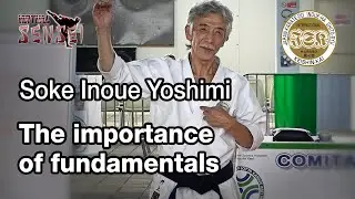 Soke Inoue Yoshimi - The importance of fundamentals - Seminar Italy 2013