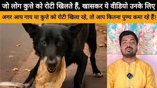 अगर आप कुत्ते को रोटी खिलते हैं तो ये वीडियो जरूर देखें!