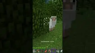ЧИКИБАМБОНИ С КАЙФОМ #чикибамбони #майнкрафт #мем #minecraft #рекомендации #рек #youtubeshorts #like