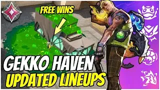 Updated Gekko Haven Guide - Must Know Lineups