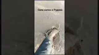 Сел калон дар Вахдат