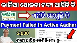Kalia Yojana Important Update ll Payment Failed In Active Aadhar ll କାଳିଆ ଯୋଜନା ଟଙ୍କା ଫେଲେଡ଼ ଲେଖୁଛି