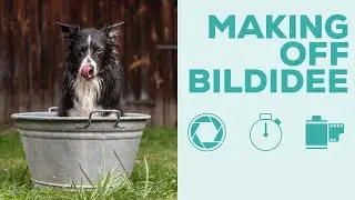 Hundefotografie - Making Off Hunde Portrait