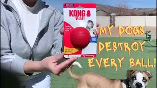 DiD THeY DESTRoY iT?!!