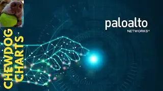 Palo Alto Networks (PANW)