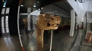 Vikingship Museum Oslo Norway