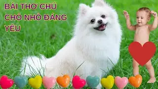 BÀI THƠ CHÚ CHÓ NHỎ ĐÁNG YÊU, DẠY TRẺ HỌC BÀI THƠ , GIÚP BÉ HỌC GIỎI VÀ THÔNG MINH, A BỜ CỜ TV123