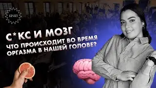 Секс и мозг. Что происходит во время оргазма в нашей голове? Лекция от Екатерины Тарасовой