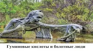 Гуминовые (гумусовые) кислоты. Дождевые черви и болотные люди