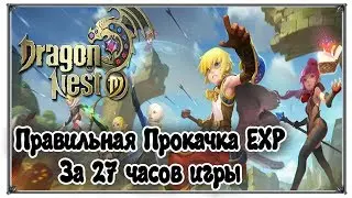 Dragon Nest mobile Correct Brewing EXP for 27 hours of play