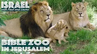 Israel | Bible Zoo in Jerusalem