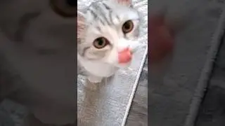 Дядя Беляшик хороший