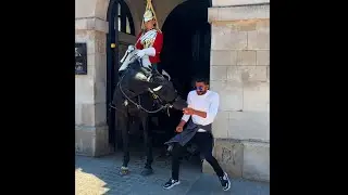 This is why you NEVER annoy the kings guard horse!