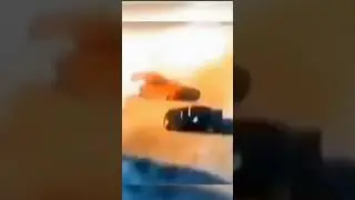 ютуб все качество сожрал( #радужныедрузья #меме #кринж