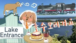 멜버른에서 호수 보러 가요(1박2일)1편/Melbourne to Lake Entrance Overnight trip