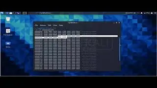 how to create animation(pictures) using assembly language