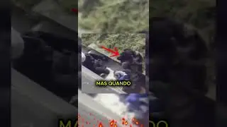 O GORILA PROTEGEU ELE! #curioso #incrível #interessante #shorts #gorila #zoologico #animais