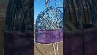 16 ноября 2022 г.