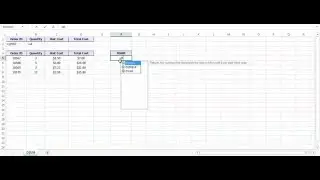 Excel DSUM Function - How to use DSUM Function