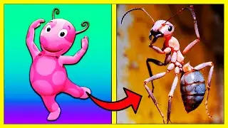 What Backyardigans Characters Would Look Like in Real Life