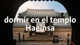 Dormir en un Templo en Corea del Sur 4K | Alan por el mundo Corea del Sur #4