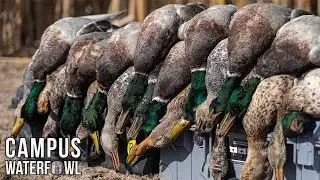 EPIC Duck Hunt along the ROCKY MOUNTAINS - Duck Hunting 2021