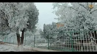 Бахористон 05 01 2021