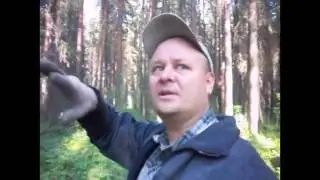 Вечер в лачуге  как на даче