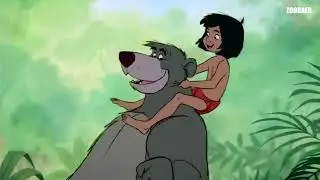 ZOOBAER - JONGOL