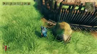 Valheim 250 Days Later