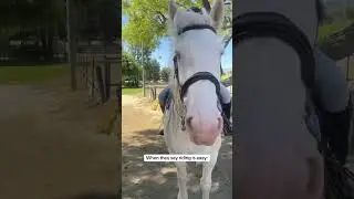 When they say riding is easy